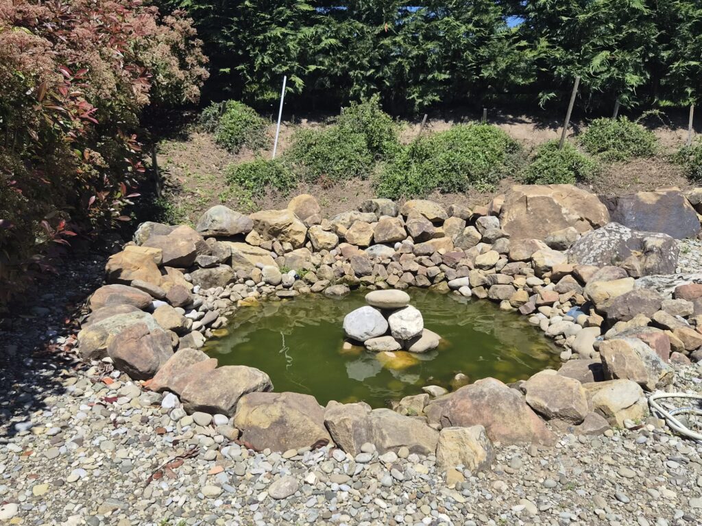 IMG-20260503-WA0034