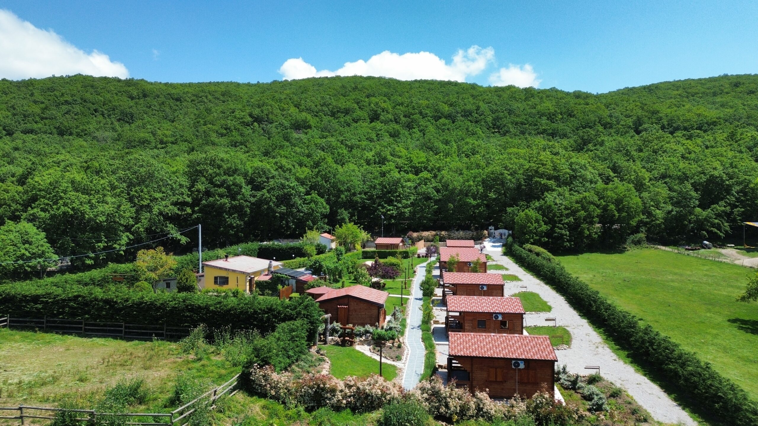 dji_fly_20260523_115702_86_1779531417510_photo_optimized